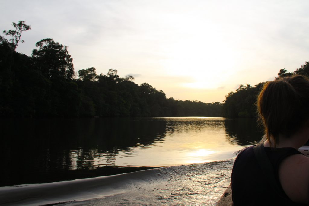 GUYANE - WAPA LODGE