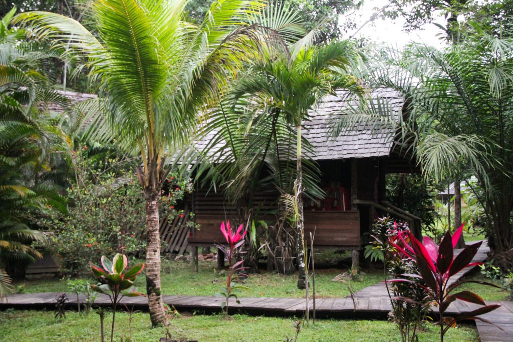 GUYANE - WAPA LODGE