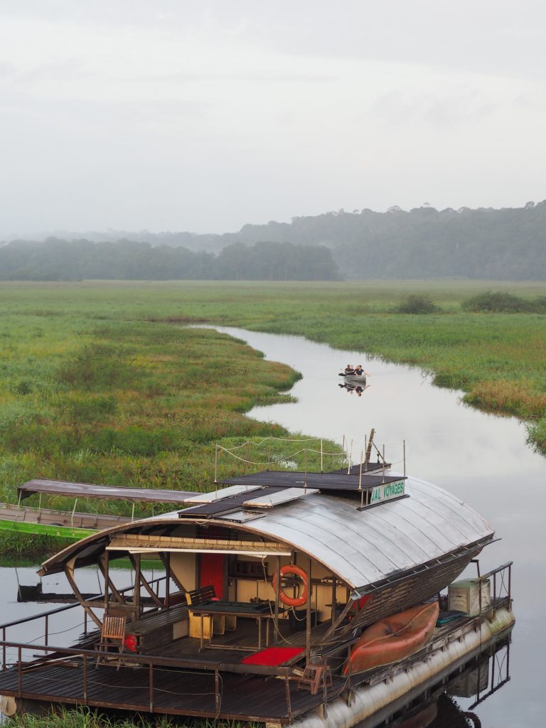 GUYANE - MARAIS DE KAW