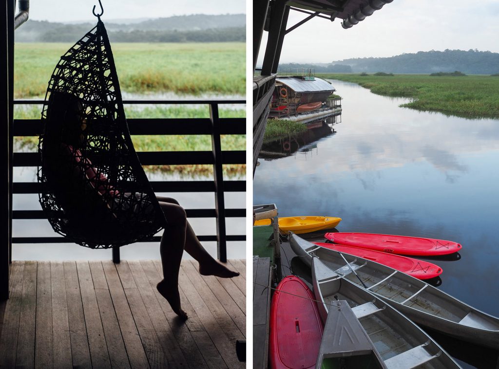 GUYANE - MARAIS DE KAW