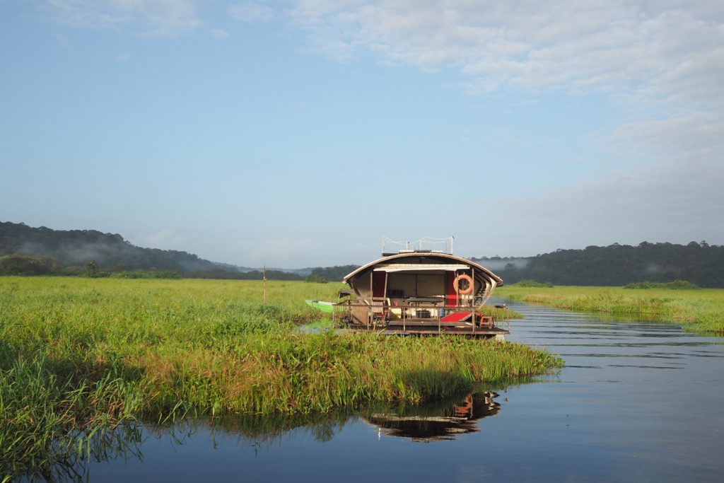 GUYANE - MARAIS DE KAW