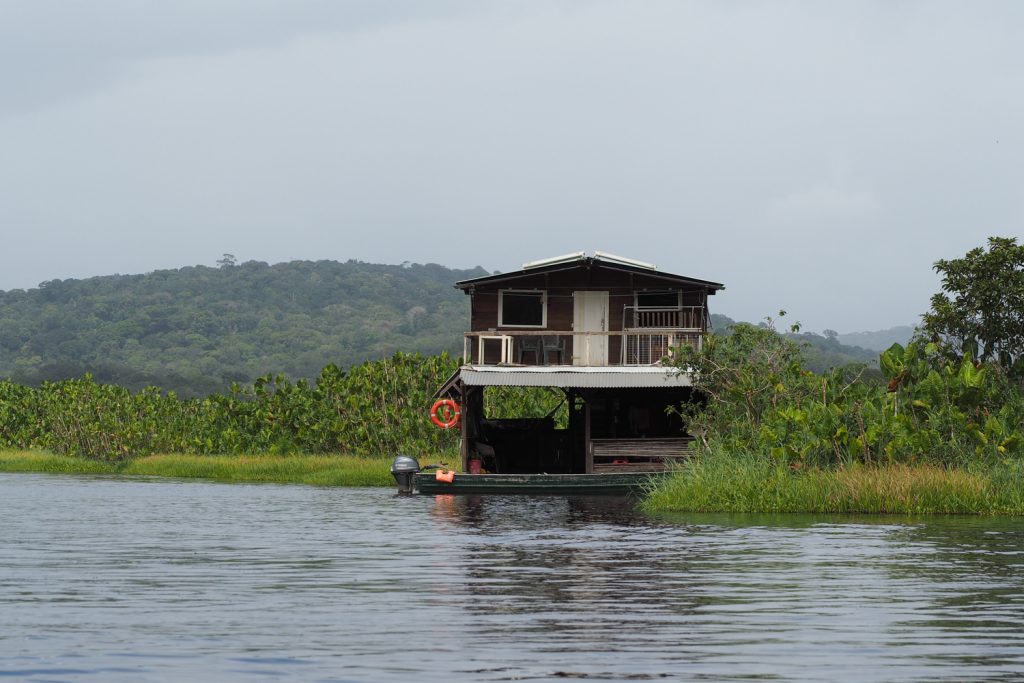 GUYANE - MARAIS DE KAW