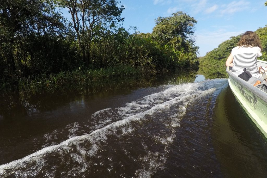 GUYANE - MARAIS DE KAW