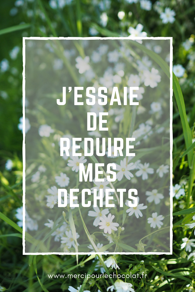 J'ESSSAIE DE RÉDUIRE MES DÉCHETS - zéro déchet