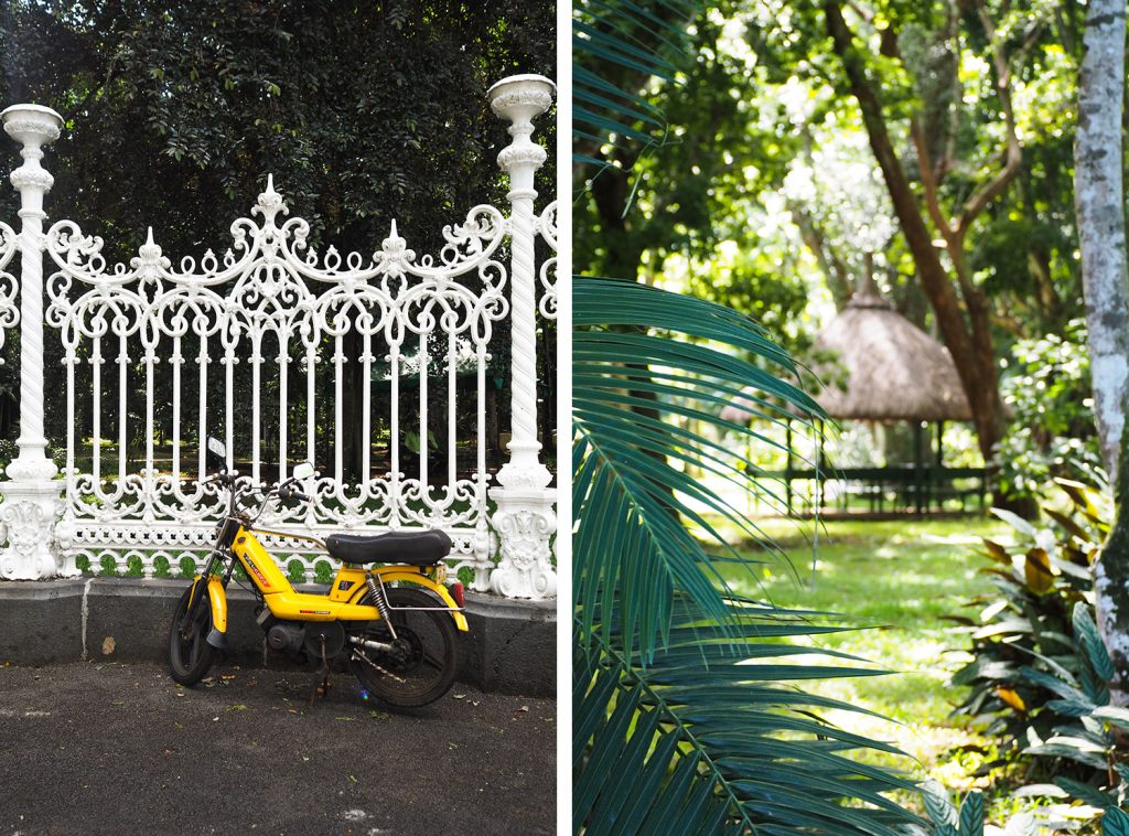 Île Maurice - Mauritius - jardin de Pamplemousses