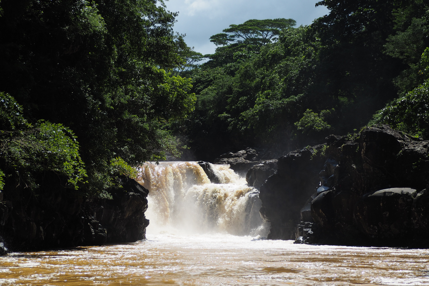 Maurice Grande Rivière Sud Est Merci pour le chocolat