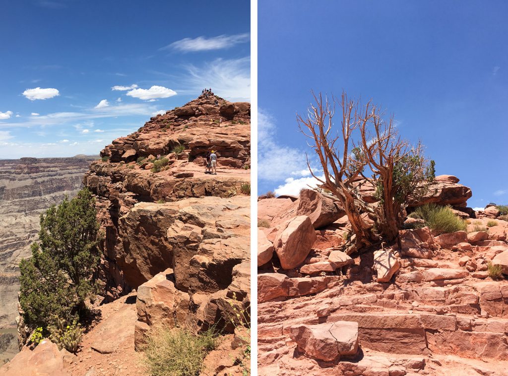 Survoler le Grand Canyon depuis Las Vegas en hélicoptère