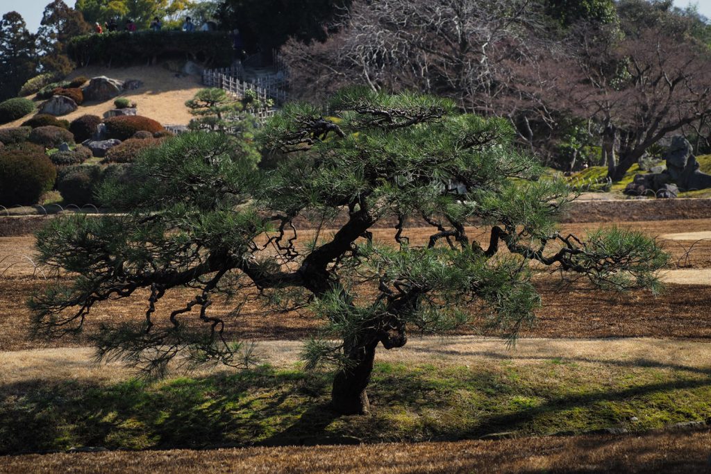 Parc Korakuen - OKAYAMA, Japon