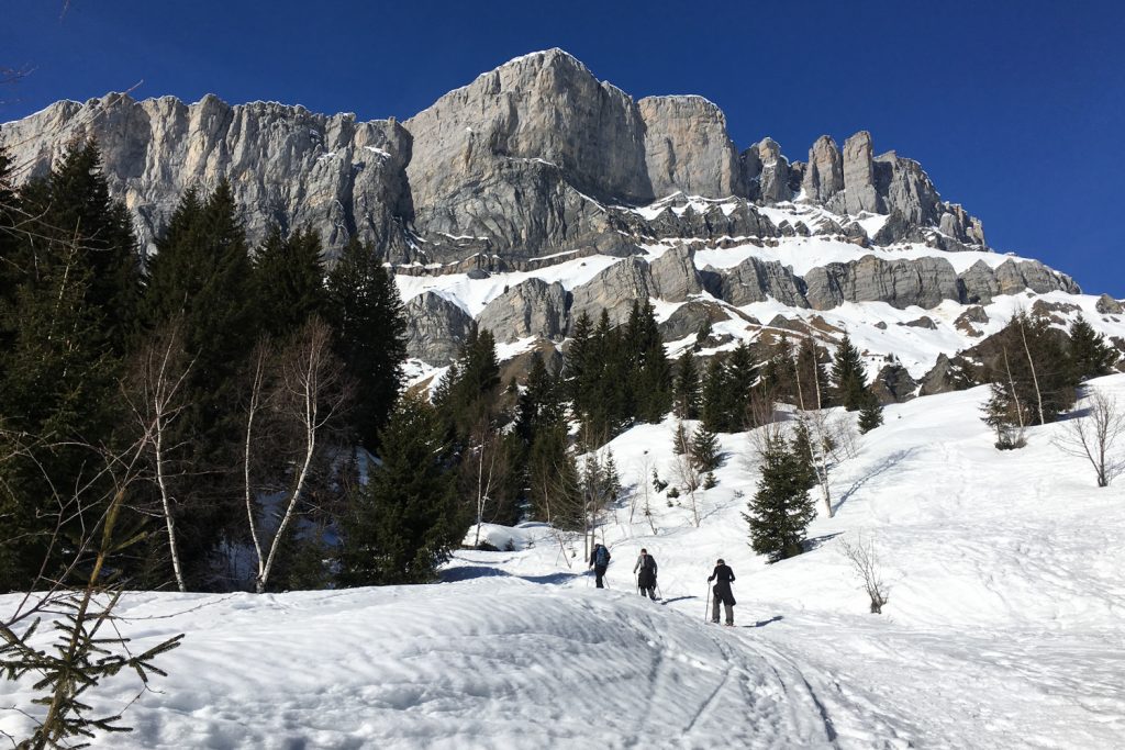 PASSY PLAINE JOUX - sortie raquettes