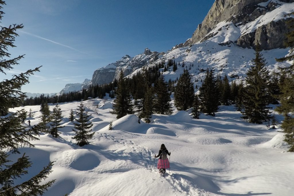 PASSY PLAINE JOUX - sortie raquettes