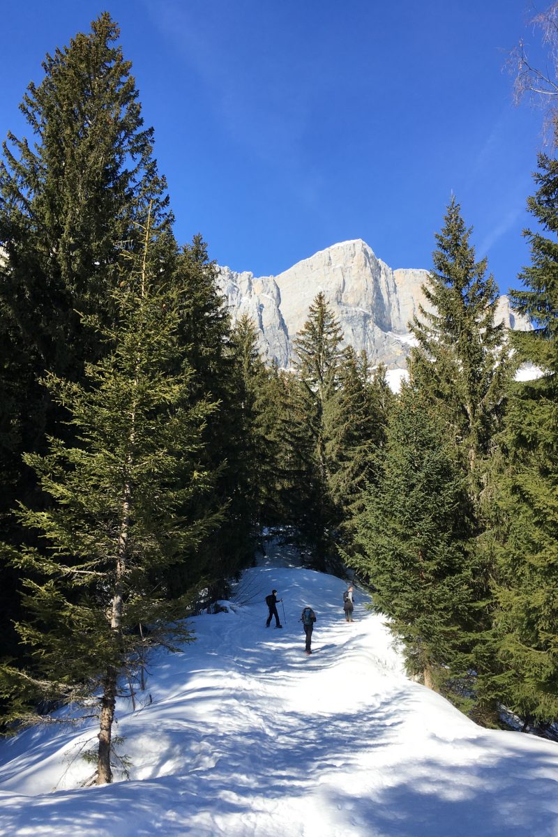 Tour des Ayères en raquettes - Passy Plaine-Joux