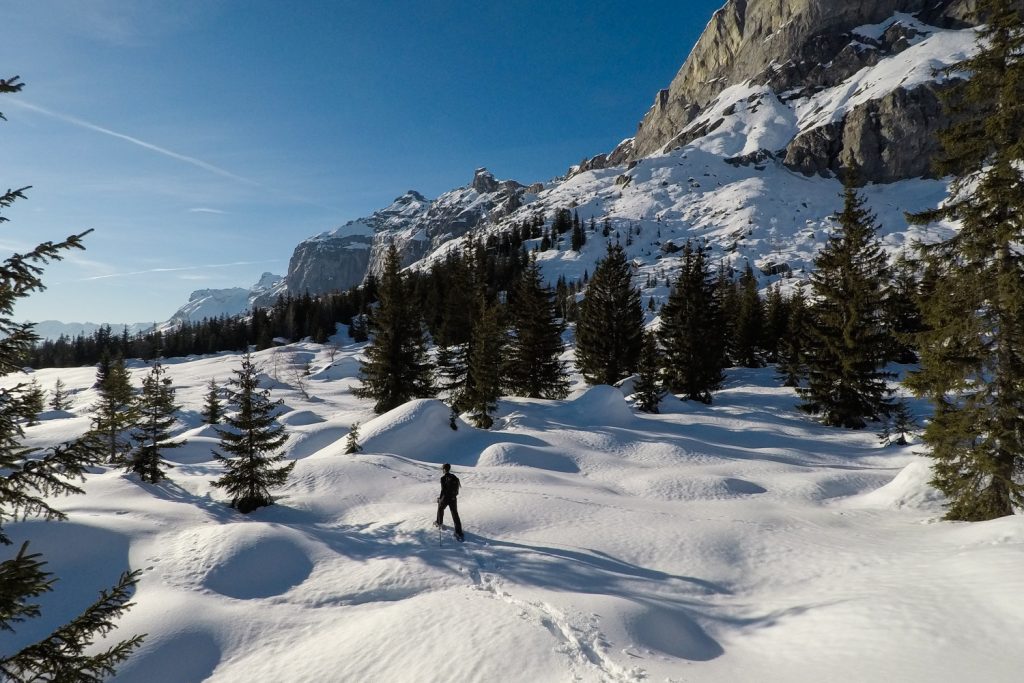 Tour des Ayères en raquettes - Passy Plaine-Joux