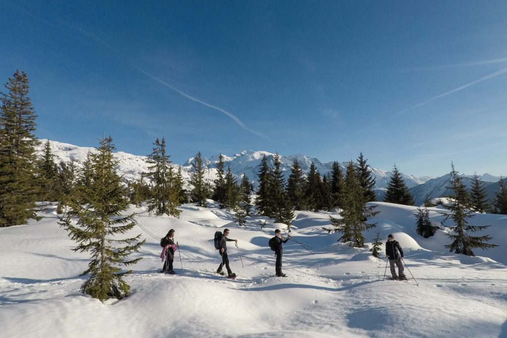 Tour des Ayères en raquettes - Passy Plaine-Joux