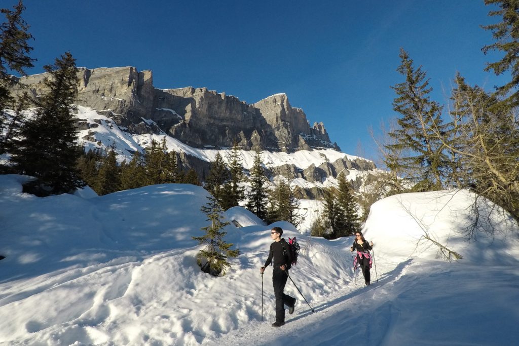 Tour des Ayères en raquettes - Passy Plaine-Joux