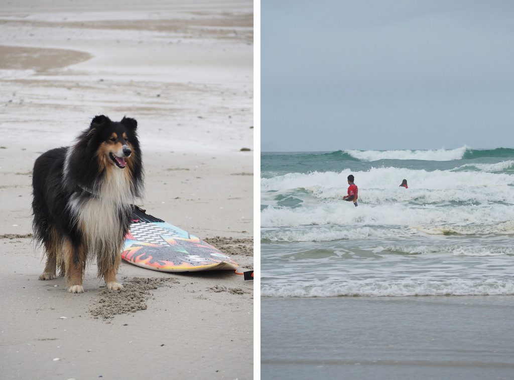 Surf à La Torche - Finistère, Bretagne