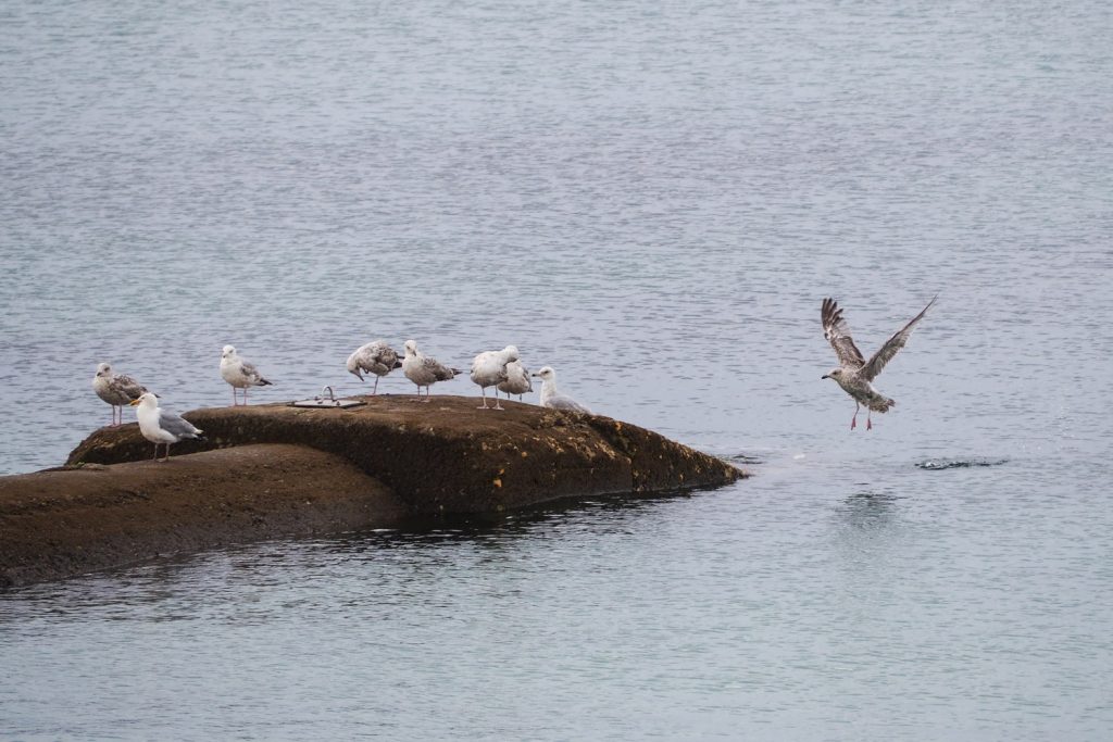 VCS Beg Meil - Bretagne, Finistère