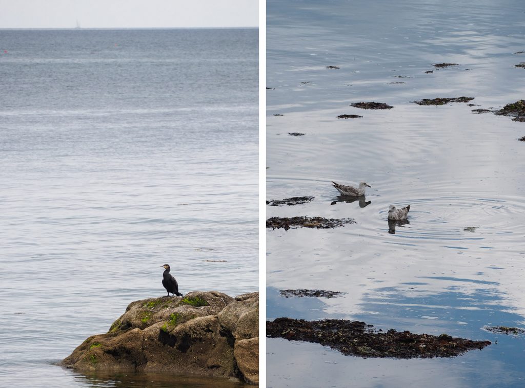 VCS Beg Meil - Bretagne, Finistère