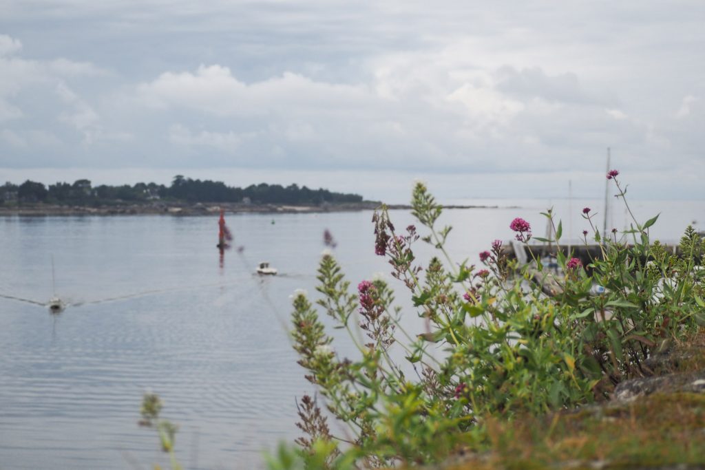 Concarneau - Bretagne, Finistère