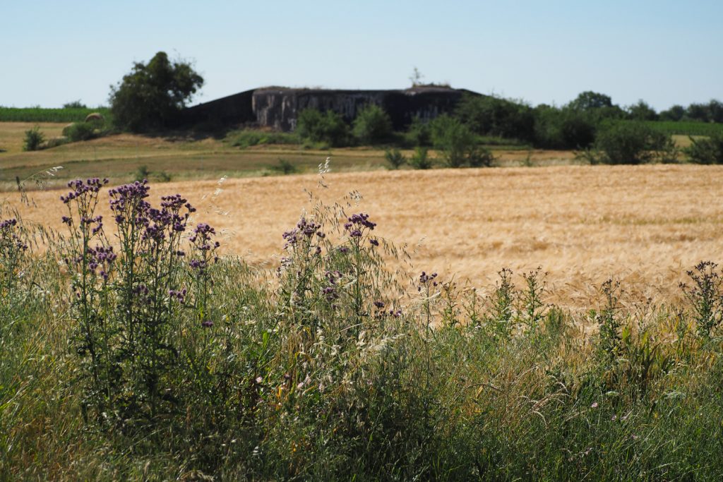 Moselle- Hoste - ligne Maginot aquatique