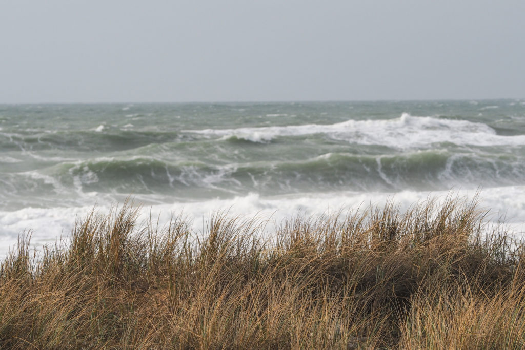 Côte Sauvage - Quiberon - Bretagne