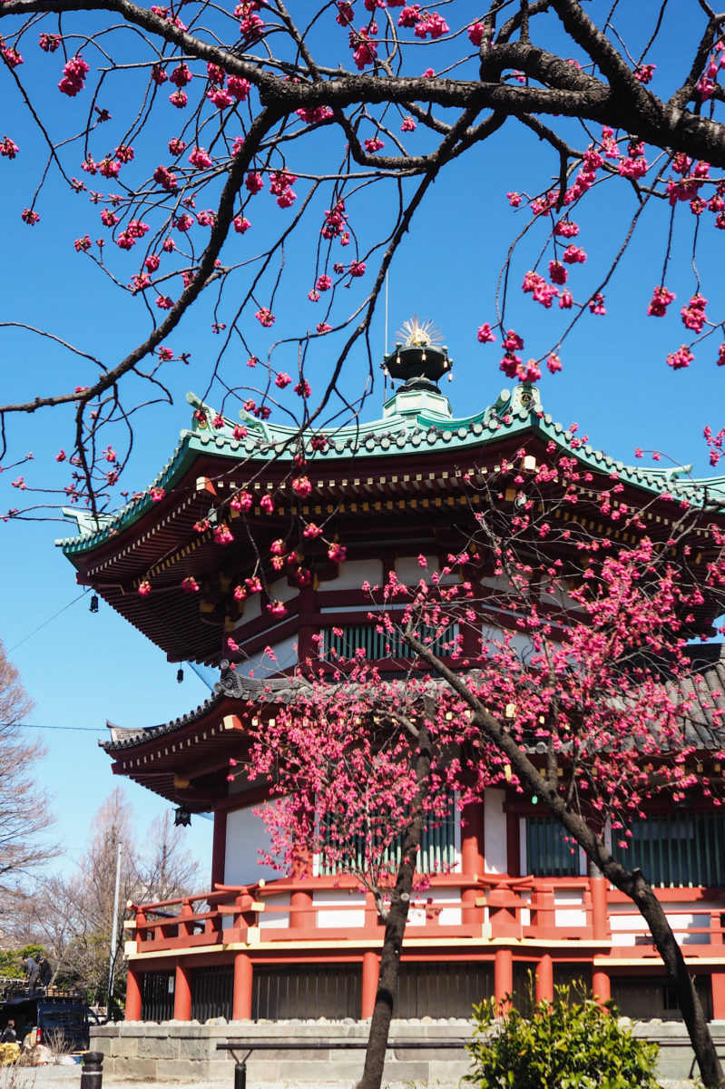 UENO PARK Tokyo - Bentendo Temple (via mercipourlechocolat.fr)