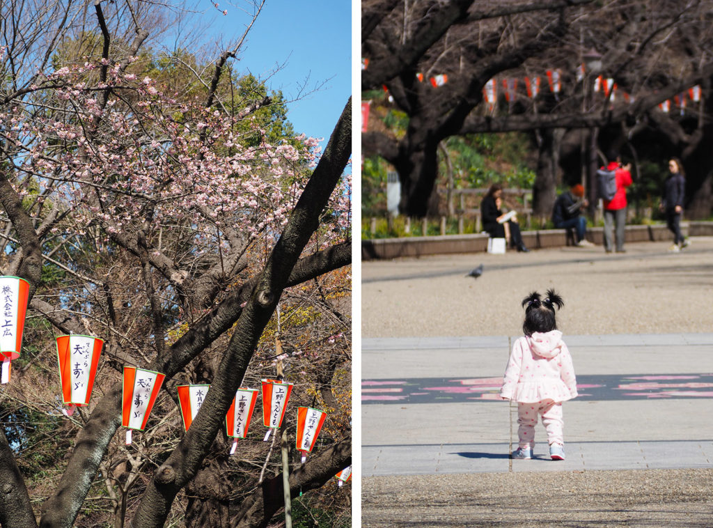 UENO PARK Tokyo (via mercipourlechocolat.fr)