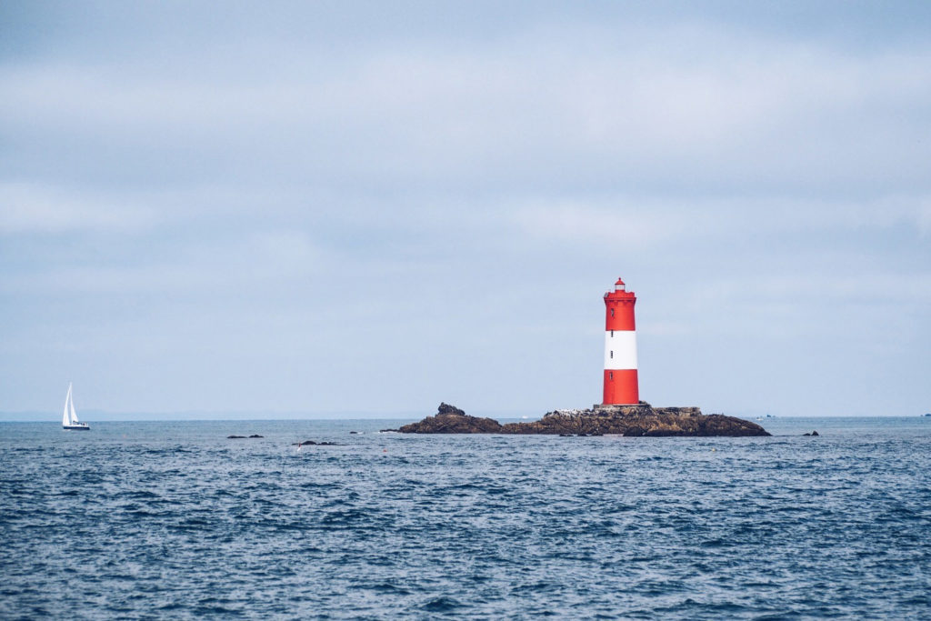 FAUNE OCÉAN - croisière naturaliste obeservation dauphins & oiseaux - baie de Quiberon - Morbihan, Bretagne (via mercipourlechocolat.fr)