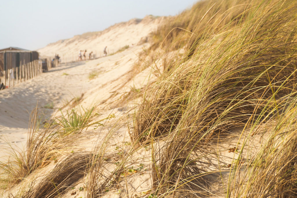 Vacances au Cap Ferret - Bassin d'Arcachon, Aquitaine (via mercipourlechocolat.fr)