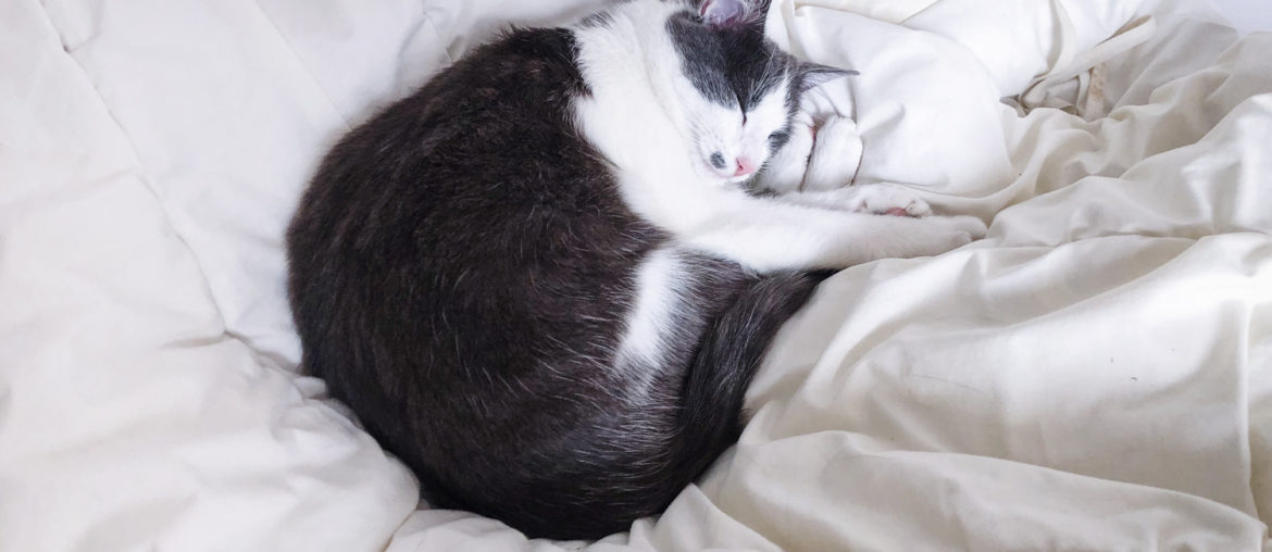 En mode cocooning ♥︎