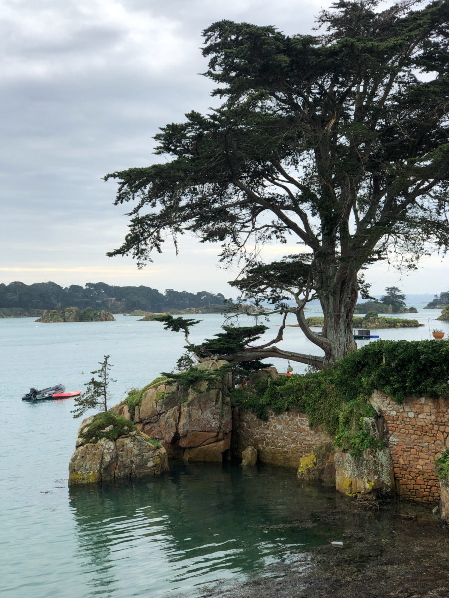 Île de Bréhat - Côtes d'Armor (22 - Bretagne)