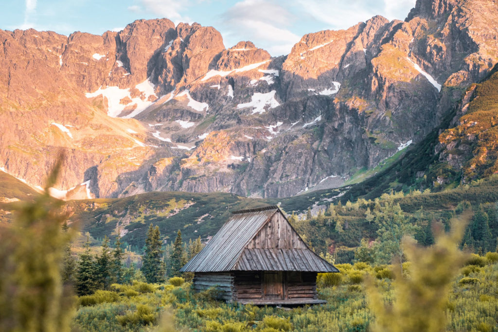 syndrome de la cabane - cabane dans les bois