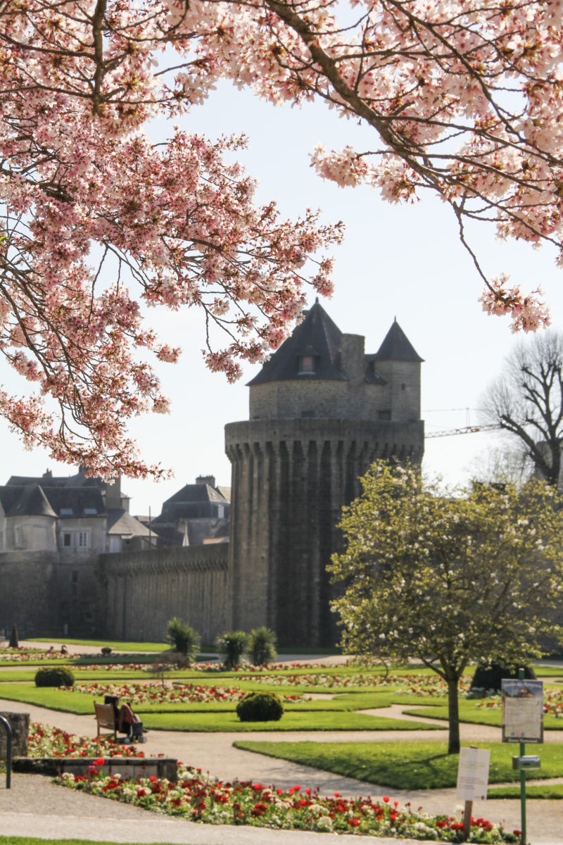 Remparts de Vannes au Printemps - cerisiers en fleur