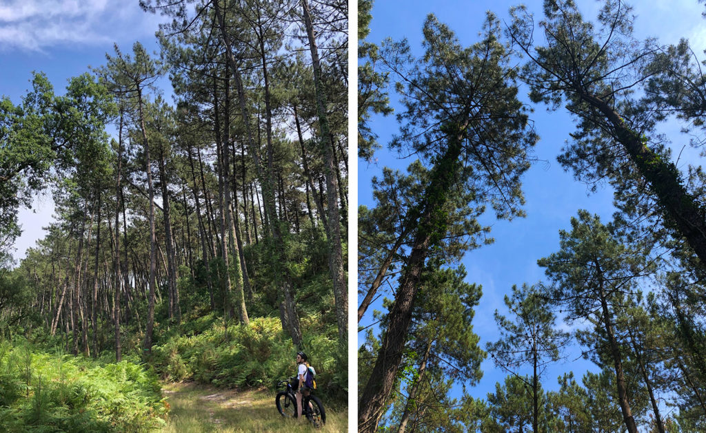 Villages Clubs du Soleil Soustons - Landes - fatbike