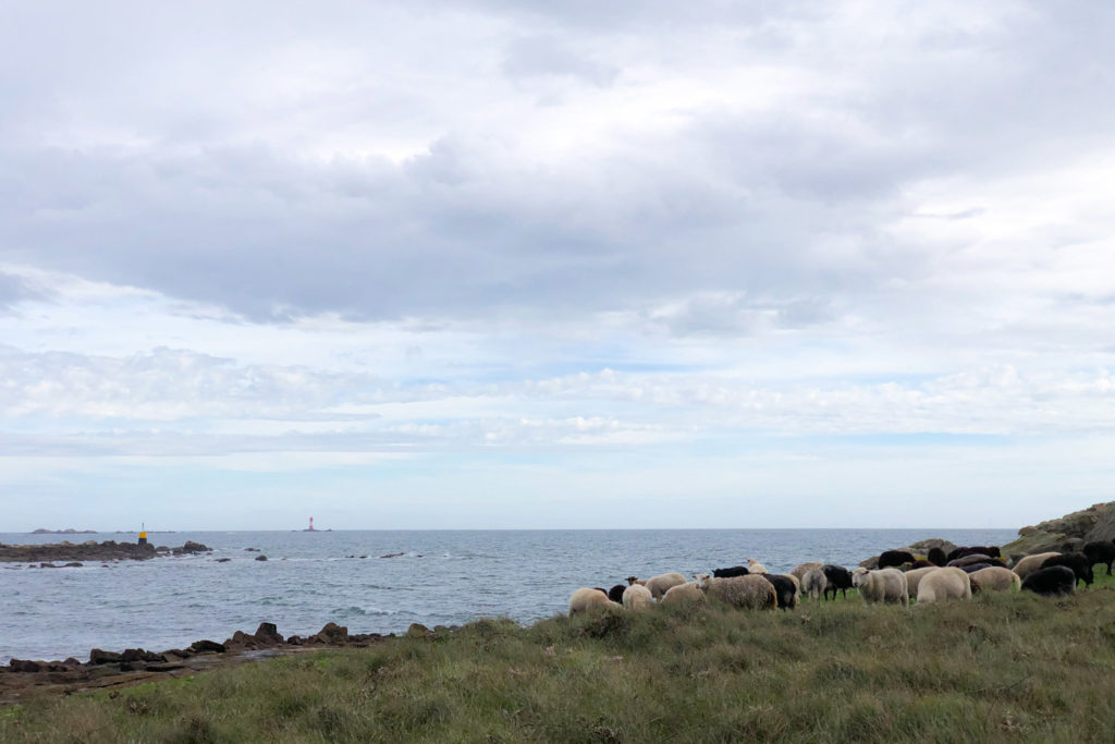 WEEK-END ÎLE HOEDIC - Morbihan, Bretagne hors saison