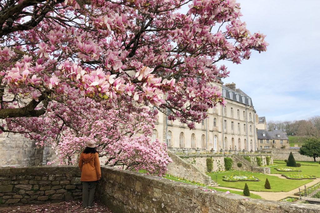 mars 2023 - magnolias Vannes