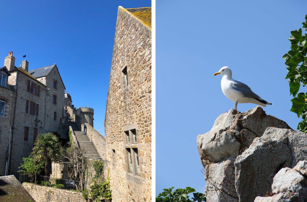 Le Mont Saint-Michel - visite en une journée 