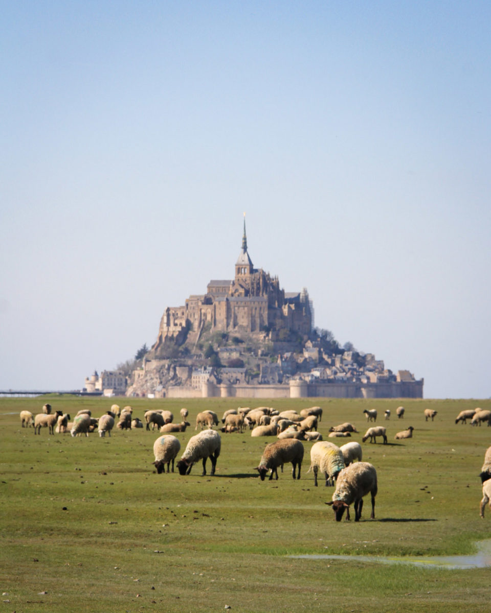 Le Mont Saint-Michel - visite en une journée 