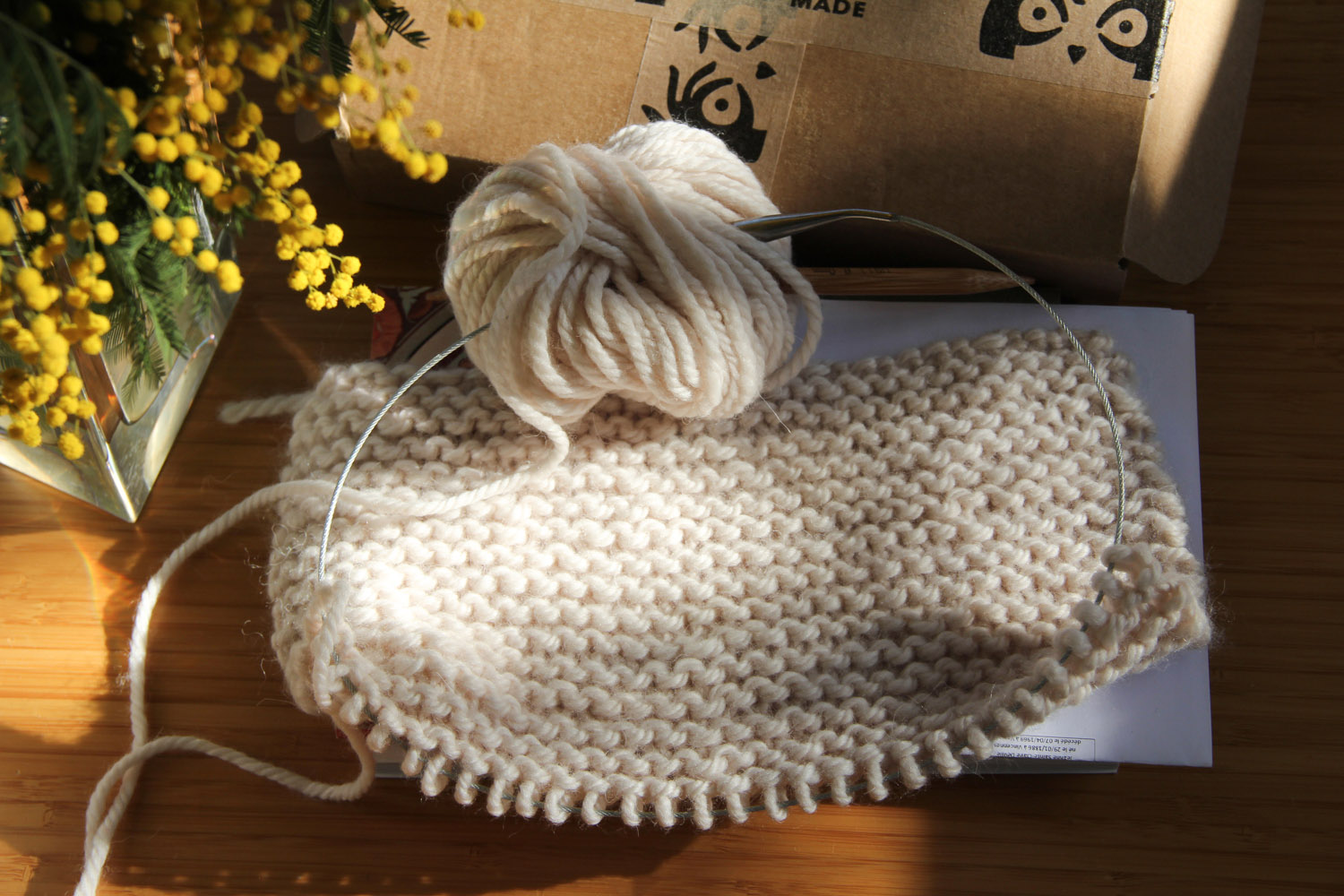 CraftLab Kit De Tricot Pour Débutants, Enfants, Adultes Et Personnes âgées Comprend Toutes Les Fournitures De Tricot : Fil De Laine, Aiguilles à Tricoter, Aiguille à Tricoter Et Instructions (français