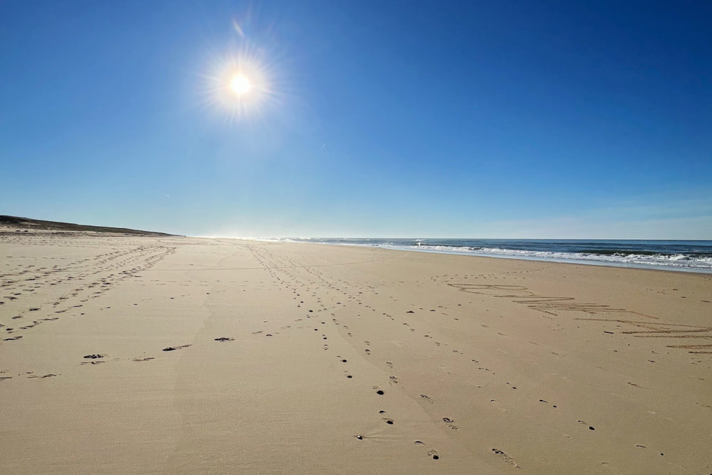 soleil, mon mot totem pour 2025 - plage de pichelèbe dans les Landes - jour de l'an